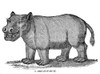 Hippopotamus. /Nline Engraving, Greek, 1838. Poster Print by Granger Collection - Item # VARGRC0082312