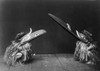 Kwakiutl Dancers, C1914. /Ntwo Kwakiutl Dancers In Ceremonial Costumes And Masks With Long Beaks. Photograph By Edward Curtis, C1914. Poster Print by Granger Collection - Item # VARGRC0113889