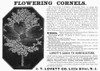Flower Advertisement, 1890. /Namerican Magazine Advertisement For J.T. Lovett Company Flowers, 1890. Poster Print by Granger Collection - Item # VARGRC0090702