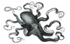 Octopus, 19th Century Poster Print by Science Source - Item # VARSCIJC3374