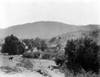 Reservation: Church, C1890. /Na Christian Church On An Indian Reservation On Tejon Ranch In Kern County, California. Photograph By Carleton Watkins, C1890. Poster Print by Granger Collection - Item # VARGRC0118369