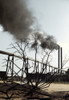 Georgia: Saw Mill, 1941. /Nsmokestacks Spewing Smoke At The Greensboro Lumber Co., Greensboro, Georgia. Photograph By Jack Delano, June 1941. Poster Print by Granger Collection - Item # VARGRC0118674