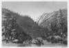 California Gold Rush. /Ngold Mining In The Mokelumne River, California. Line Engraving, American, Mid 19Th Century. Poster Print by Granger Collection - Item # VARGRC0096365