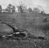 World War I: Camouflage. /Na Dummy Dead Horse Constructed As A Hiding Place For Soldiers To Spy In The Middle Of A Field. Photograph, 1914-1918. Poster Print by Granger Collection - Item # VARGRC0407913