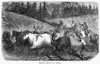 Civil War: Black Troops. /Nblack Troops In The Union Army Herding Cattle. Wood Engraving, French, 1864. Poster Print by Granger Collection - Item # VARGRC0076080