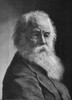 Walt Whitman (1819-1892). /Namerican Poet. Engraving, After A Photograph By Napoleon Sarony, 1878. Poster Print by Granger Collection - Item # VARGRC0350446