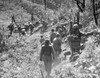 Korean War: Triangle Hill. /Namerican Soldiers Carrying An Injured Soldier Down From Triangle Hill, After Korean Shells Severed The Trolley System. Photograph, 20 October 1952. Poster Print by Granger Collection - Item # VARGRC0102529