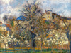 Pissarro: Garden, 1877. /Ncamille Pissarro: Kitchen-/Ngarden And Trees In Blossom, Pontoise. Oil On Canvas, 1877. Poster Print by Granger Collection - Item # VARGRC0043108