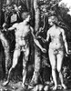 D_Rer: Adam & Eve, 1504. /Nline Engraving By Albrecht D�rer, 1504. Poster Print by Granger Collection - Item # VARGRC0013141