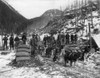 Alaska: Gold Rush, C1897. /Ncamp Of Gold Prospectors With Their Sled Dogs Near The Dyea Canyon, Yukon Territory, Alaska. Photograph, C1897. Poster Print by Granger Collection - Item # VARGRC0116203