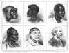 Evolution. /N'Progressive Development Of Man: Evolution Illustrated With The Six Corresponding Living Forms.' A Late-19Th Century Chart Of The Evolution Of Man From Ape To European. Poster Print by Granger Collection - Item # VARGRC0046600