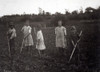 Hine: Hoeing Corn, 1915. /Ngroup Of Children Hoeing Corn On Their Father'S Farm Near Menomonee Falls, Wisconsin. Photograph By Lewis Hine, July 1915. Poster Print by Granger Collection - Item # VARGRC0176046