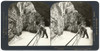 Switzerland: Meiringen, C1908. /N'The Pathway Along The Great Gorge Of The Aare, Meiringen, Switzerland.' Stereograph, C1908. Poster Print by Granger Collection - Item # VARGRC0323501