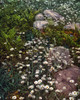 Adirondacks, C1902. /Nwild Flowers In The Adirondack Mountains, New York. Photochrome, C1902. Poster Print by Granger Collection - Item # VARGRC0266636