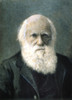 Charles Robert Darwin /N(1809-1882). Oil Over A Photograph. Poster Print by Granger Collection - Item # VARGRC0010533