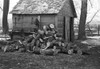 Iowa: Firewood, 1936. /Nfirewood Supply On A Farm Near Armstrong, Iowa. Photograph By Russell Lee, December 1936. Poster Print by Granger Collection - Item # VARGRC0122200