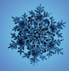 Snowflake Poster Print by Science Source - Item # VARSCIBL5113