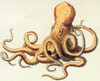 Octopus Poster Print by Science Source - Item # VARSCIJC3376