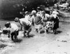 Rock Creek: Wading. /Nadults And Children Wading In Rock Creek Park, A Tributary Of The Potomac River, Washington, D.C. Photograph, C1920-1932. Poster Print by Granger Collection - Item # VARGRC0129985