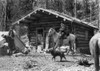 Idaho: Log Cabin, C1903. /Na Man On Horseback In Front Of A Log Cabin In Idaho. Photograph, C1903. Poster Print by Granger Collection - Item # VARGRC0124406