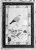India: Thrushes. /Nthrushes In A Landscape. Mughal Painting, Early 17Th Century. Poster Print by Granger Collection - Item # VARGRC0119806