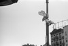 Evans: New York, 1938. /Nstreet Signs On The Corner Of 61St Street And 1St Avenue In New York, New York. Photograph By Walker Evans, 1938. Poster Print by Granger Collection - Item # VARGRC0268352