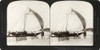 Ceylon: Sailing, 1907. /N'Beaching A Catamaran - Through The Surf At Full Sail, Wellawatta, Ceylon.' Stereograph, 1907. Poster Print by Granger Collection - Item # VARGRC0324968