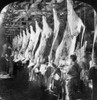 Chicago: Meatpacking. /Nfactory Workers Dropping Hides And Splitting Chucks In The Beef Department At The Swift And Company Meatpacking House In Chicago, Illinois. Stereograph, C1906. Poster Print by Granger Collection - Item # VARGRC0117022