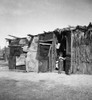 Squatter Camp, 1935. /Nsquatter Camper Of Migrant Farmers In California. Photograph, 1935 By Dorothea Lange. Poster Print by Granger Collection - Item # VARGRC0106304