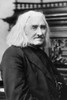 Franz Liszt (1811-1886). /Nhungarian Pianist And Composer. Poster Print by Granger Collection - Item # VARGRC0041508