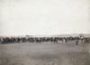 Pine Ridge: Cattle, 1891. /Na Long Row Of Lakota Sioux Men Preparing To Rope Cattle On The Pine Ridge Reservation In South Dakota, January 1891. Photographed By John C.H. Grabill. Poster Print by Granger Collection - Item # VARGRC0115479