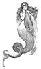 Mermaid, C1890. /Na Mermaid Princess. Illustration From One Of Andrew Lang'S Fairy Tale Collections, C1890. Poster Print by Granger Collection - Item # VARGRC0016526