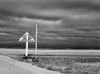 North Dakota Road, 1940. /Nrailroad Crossing On A Rural Road In Mchenry County, North Dakota. Photograph By John Vachon In October 1940. Poster Print by Granger Collection - Item # VARGRC0119399