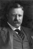 Theodore Roosevelt /N(1858-1919). 26Th President Of The United States. Photographed At Washington, D.C. By Harris & Ewing. Poster Print by Granger Collection - Item # VARGRC0067583