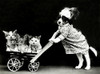 The Outing, 1914 Poster Print by Science Source - Item # VARSCIJB6429
