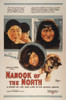 Film: Nanook Of The North. /Nposter For The 1922 Film, 'Nanook Of The North.' Poster Print by Granger Collection - Item # VARGRC0035427