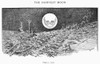 World War I: Cartoon, 1914. /N'The Harvest Moon.' American Cartoon By Luther D. Bradley, 1914, Commenting On The Mounting Numbers Of Casualties In The Opening Weeks Of World War I. Poster Print by Granger Collection - Item # VARGRC0097536