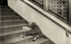 Hine: Newsboy, 1912. /Nnewsboy Sleeping On The Stairs With Newspapers At Night In Jersey City, New Jersey. Photograph By Lewis Hine, November 1912. Poster Print by Granger Collection - Item # VARGRC0167549