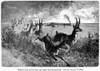 Hunting: Antelope, 1883. /Ntrain Passengers Hunting Pronghorn Antelope In Wyoming. Wood Engraving, 1883. Poster Print by Granger Collection - Item # VARGRC0081030