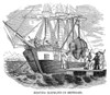 Elephant Hoist. /Nhoisting An Elephant Onto A Ship. Wood Engraving, American, Early 19Th Century. Poster Print by Granger Collection - Item # VARGRC0043418