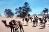 Egypt: Caravan. /Na Camel Caravan In Sinai, Egypt. Undated Photograph. Poster Print by Granger Collection - Item # VARGRC0169918