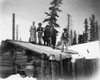 Colorado: Homesteaders. /Nhomesteaders On The Roof Of Their Cabin, Probably In Colorado. Photograph, C1880. Poster Print by Granger Collection - Item # VARGRC0183871