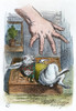 Carroll: Alice, 1865. /Nafter Growing Large, Alice Reaches For The Rabbit. After The Design By Sir John Tenniel For The First Edition Of Lewis Carroll'S 'Alice'S Adventures In Wonderland'. Poster Print by Granger Collection - Item # VARGRC0046647