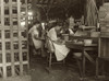 Cigar Box Factory, 1909. /Nyoung Girls Working At The Tampa Cigar Box Factory In Tampa, Florida. Photograph By Lewis Hine, January 1909. Poster Print by Granger Collection - Item # VARGRC0166688