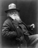 Walt Whitman (1819-1892). /Namerican Poet. Photograph, 15 August 1887. Poster Print by Granger Collection - Item # VARGRC0109553