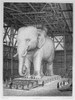 Paris: Elephant Monument. /Nthe Elephant Monument At The Place De La Bastille In Paris. Line Engraving, 1830. Poster Print by Granger Collection - Item # VARGRC0101762