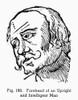 Physiognomy, 1648. /Nforehead Of An Upright Man And Intelligent Man. Woodcut, 1648, From Philippus Phinella'S 'Metoposcopia.' Poster Print by Granger Collection - Item # VARGRC0097080