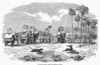 India: Hunting, 1857. /Nantelope Hunting With A Cheetah Or Leopard. Wood Engraving, English, 1857. Poster Print by Granger Collection - Item # VARGRC0089440