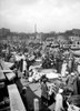 Egypt: Cairo. /Na Donkey Market In Cairo, Egypt. Early 20Th Century. Poster Print by Granger Collection - Item # VARGRC0120501