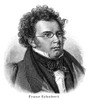 Franz Schubert (1797-1828). /Naustrian Composer. Line Engraving. Poster Print by Granger Collection - Item # VARGRC0004995